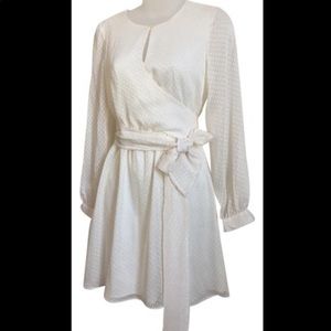 Ann Taylor Ivory Dress